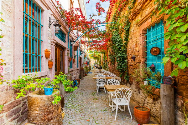 DİWA GÜNÜBİRLİK AYVALIK TURU