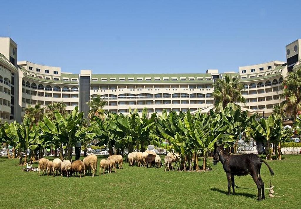 Seaden Sea Planet Resort & Spa