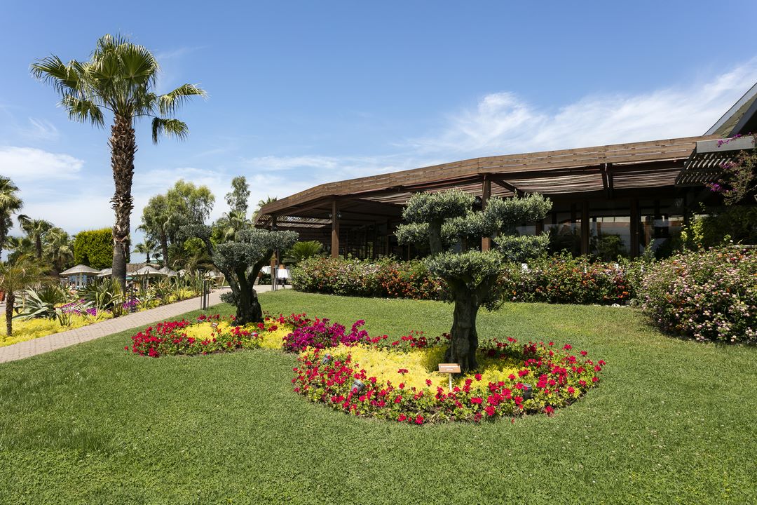 Seaden Sea Planet Resort & Spa